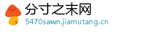 分寸之末网